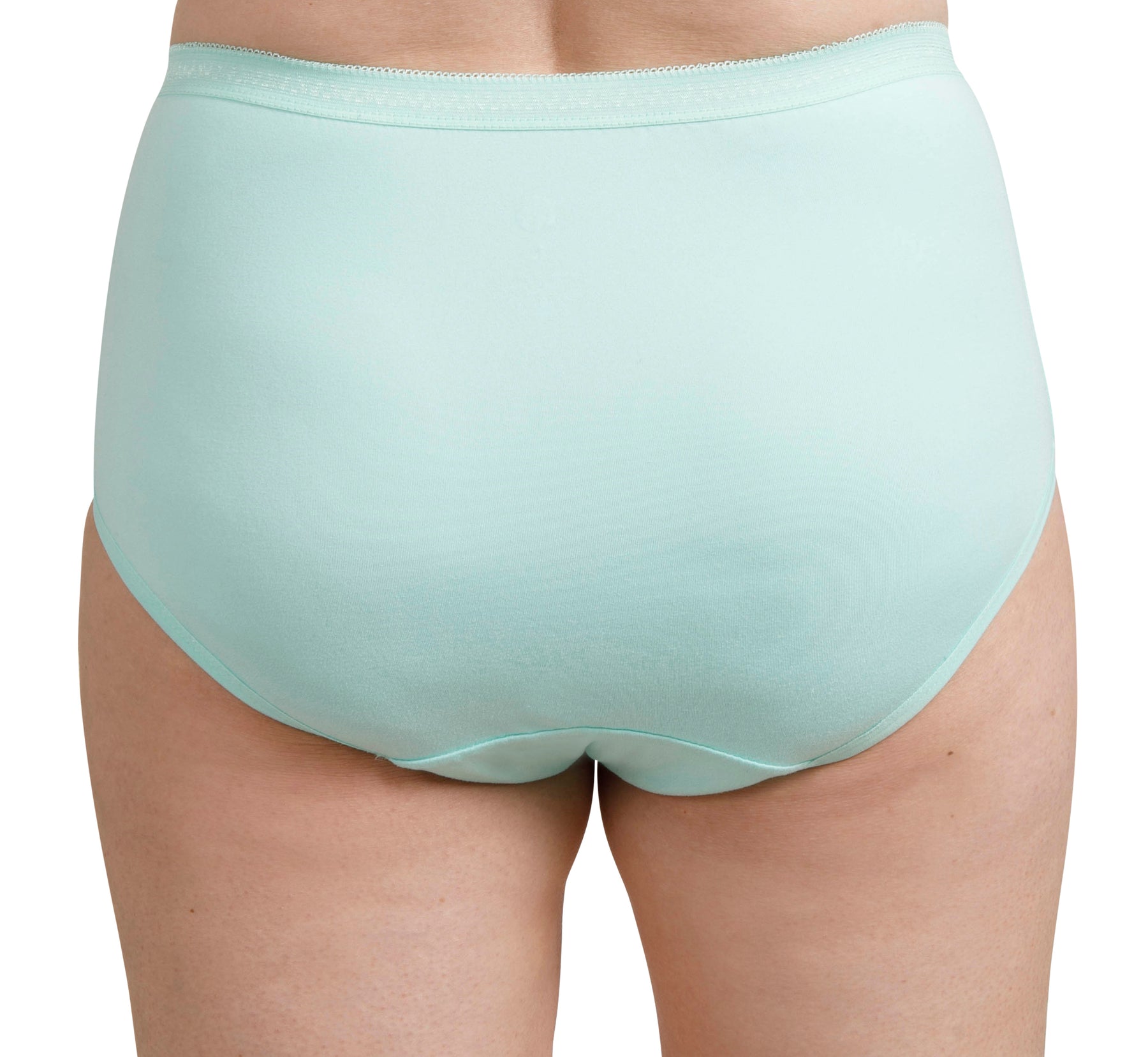 Full Brief - Mint