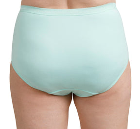 Full Brief - Mint