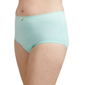 Full Brief - Mint